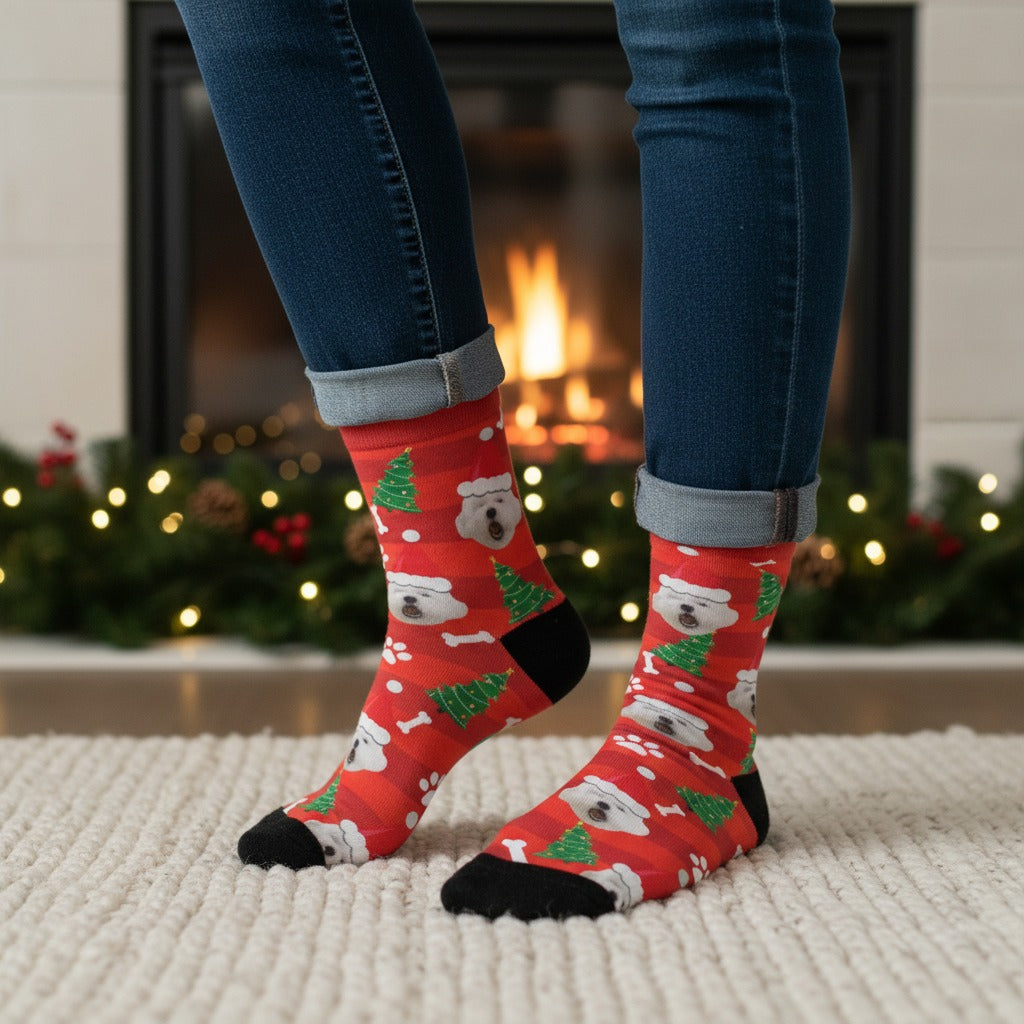 Red Christmas custom dog socks with a pet in a Santa hat print, worn on real feet by a fireplace