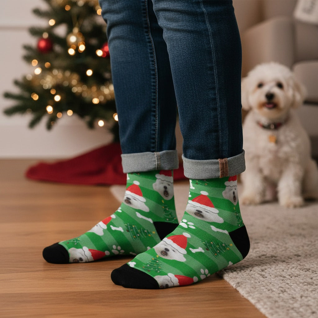 Green Christmas custom dog socks with a pet in a Santa hat print, worn at home with a small white dog nearby