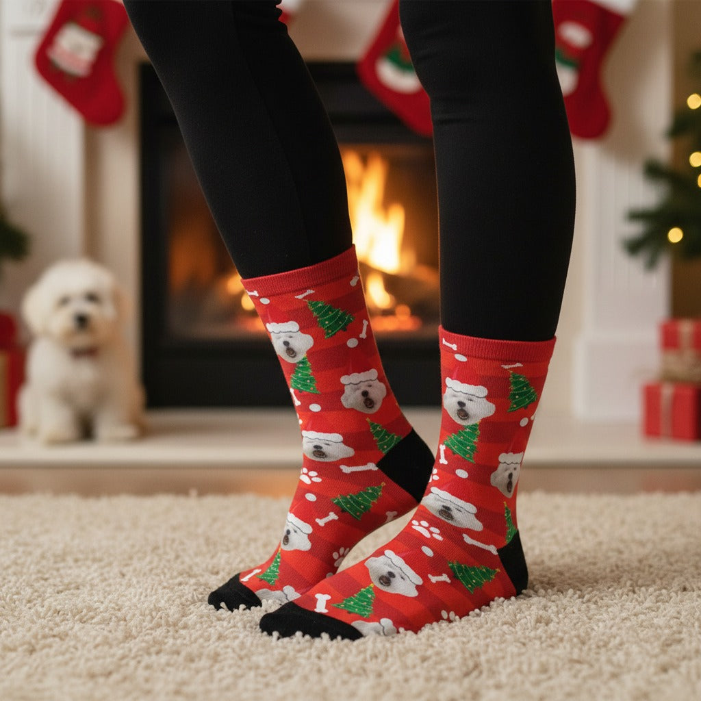 Red Christmas custom dog socks with a pet in a Santa hat print, worn at home with a small white dog nearby