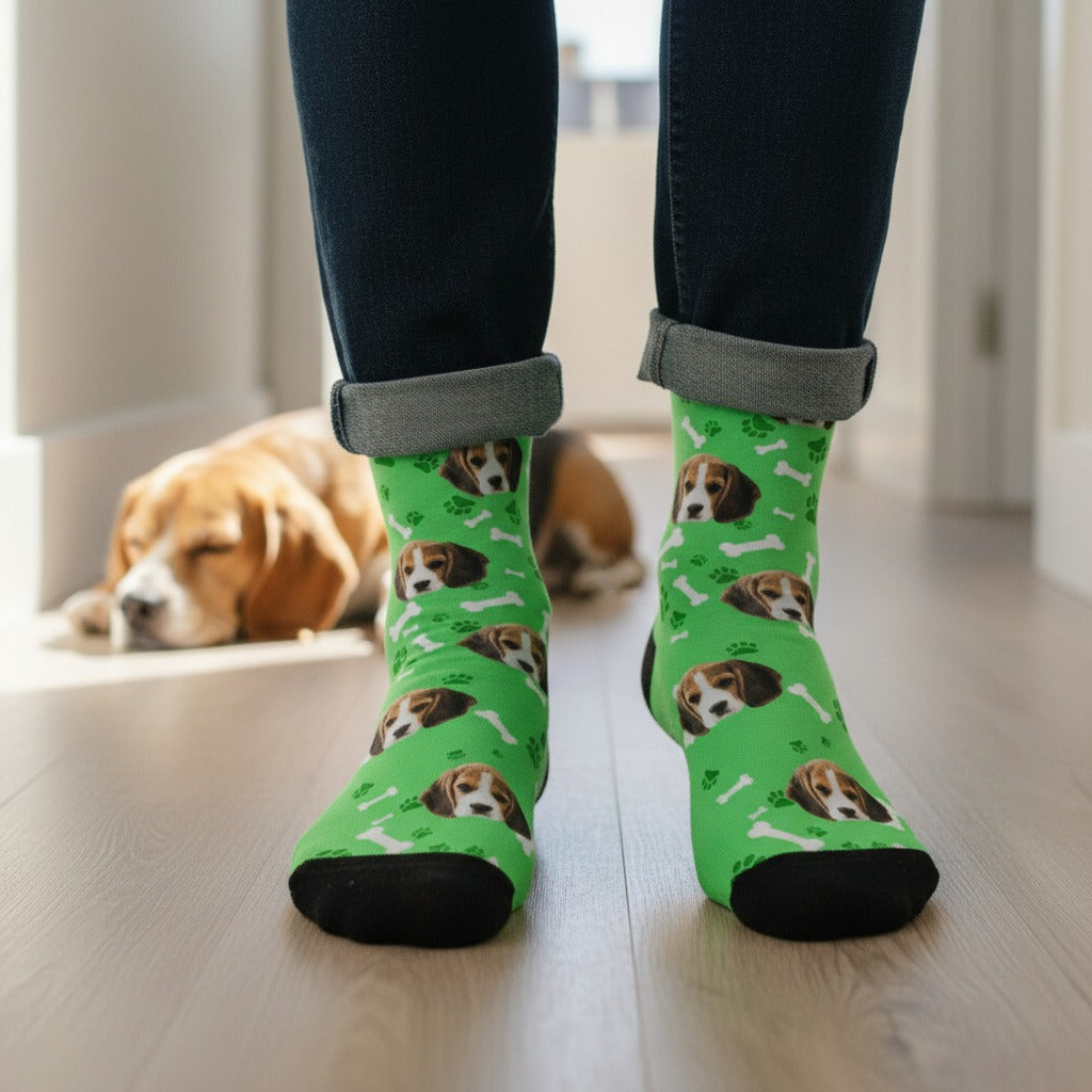 Green custom dog socks, worn at home with a beagle nearby